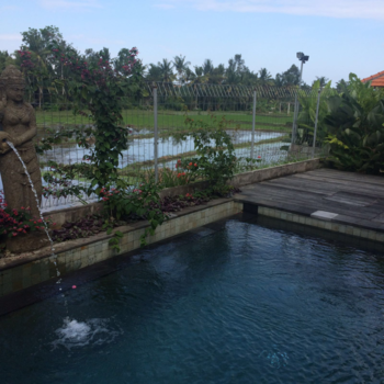 Bali - Uitzicht hotel in Ubud Bali