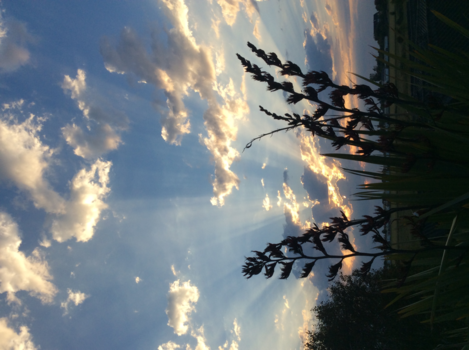 Rondreis Indonesië in vier weken - Mooi Normandie ....