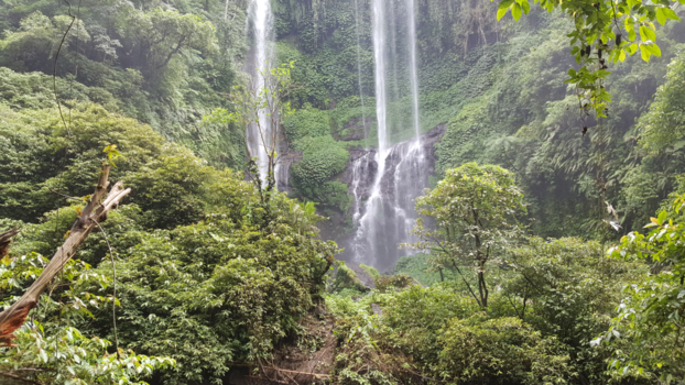Bali - Sekumpul waterval