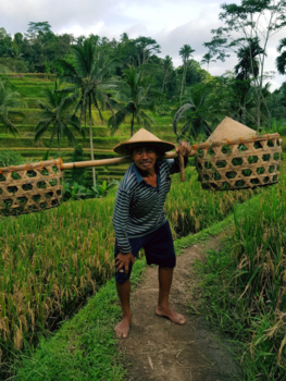 Bali - Always a smile at the Green side of life