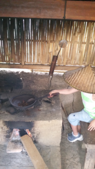 Bali - Koffieplantage