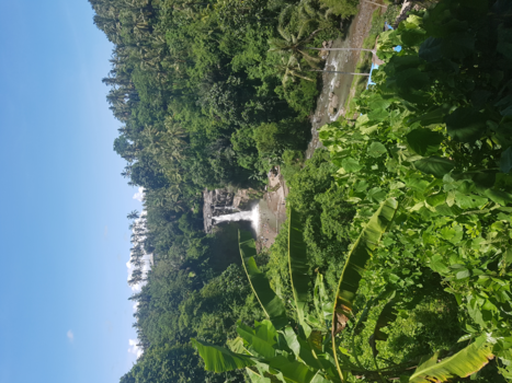 Bali - Water lucht aarde