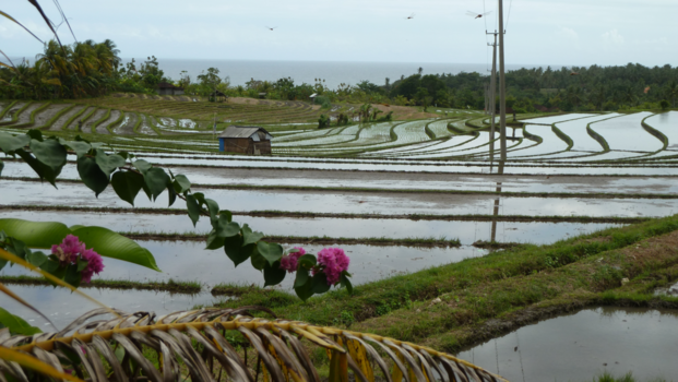 Rondreis Bali, Java & Lombok - Bali, need i say more?