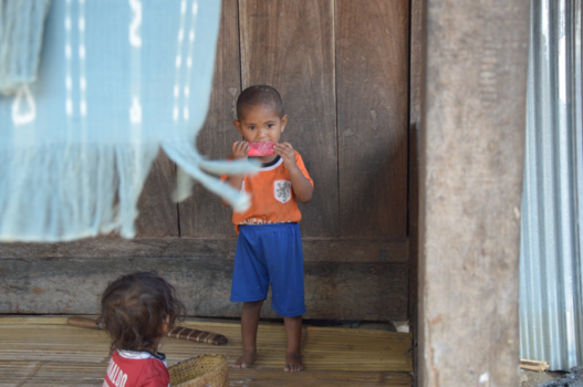 Flores - Innocence of kids - Bena, Flores