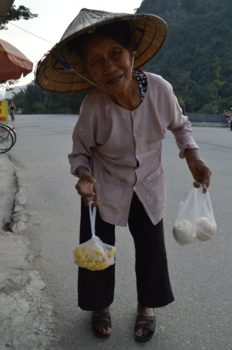 Flores - Tam COC Vietnam