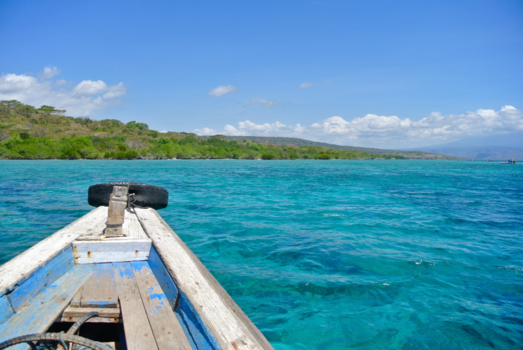 Menjangan - Menjangan island, Bali