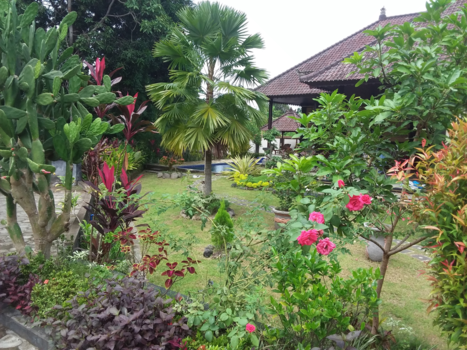 Bali - Mooie tuin in ons  verblijf