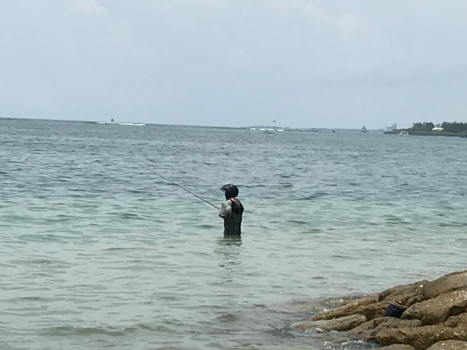 Bali - Visser in Sanur