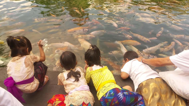 Bali - Kindjes van bali voeren de koi.s in een tempel