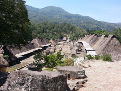 Flores - Traditional village