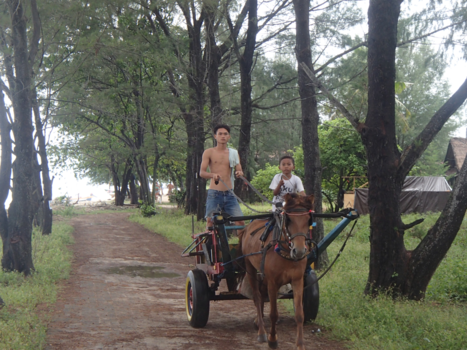 Gili-eilanden - Max 1 PK