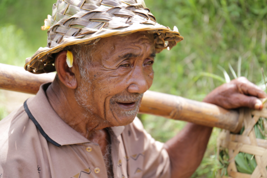 Bali - Rice Field, Ubud