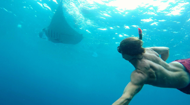 Rondreis Indonesië in vier weken - Snorkelen met manta