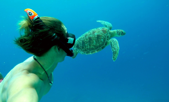 Rondreis Indonesië in vier weken - Snorkel met schildpad