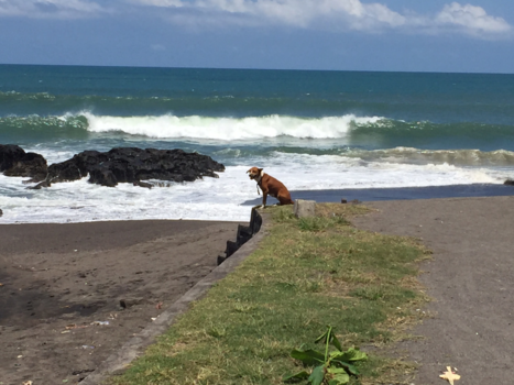 Bali - Plaatsje Seseh