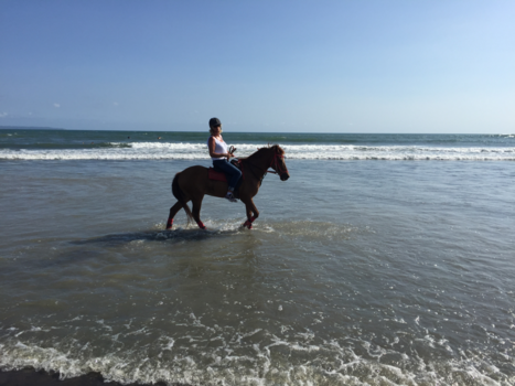 Bali - Paardrijden op het strand Seshe
