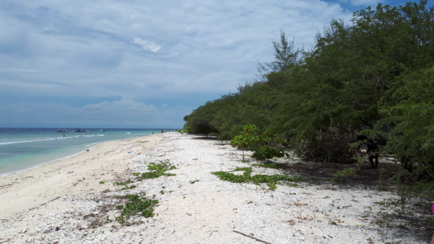 Rondreis Bali & Lombok - Gili meno