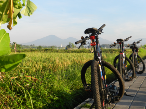 Bali - Bali, anders!