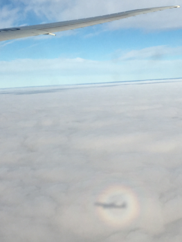 Bali - De magische reis naar Bali