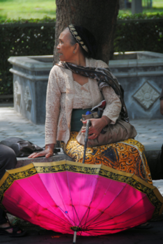 Rondreis Bali & Java - Just sitting ...