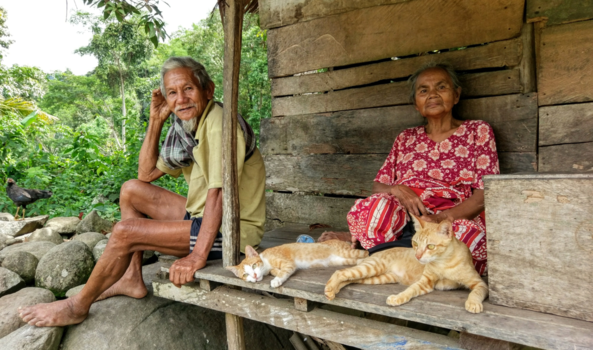 Sulawesi - 'Til death do us part