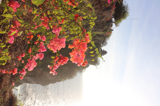 Bali - Pure and Beautiful Bali