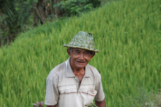 Rondreis Bali, Java & Lombok - Bapak in Tegalalang, Bali