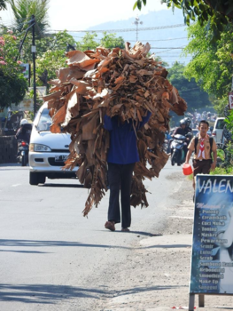 Bali - Zwaar beladen