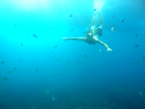 Karimunjawa Marine National Park - Snorkelen op Karimunjawa