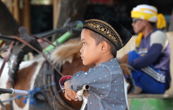 Bali - Zo vader zo zoon