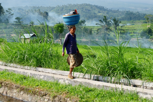 Bali - Boodschappen gedaan en opweg naar huis
