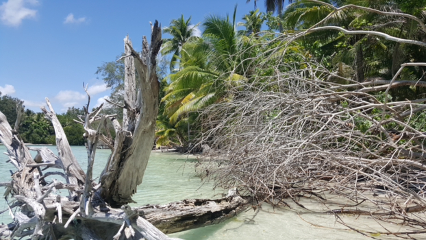 Molukken - "Limiang Beach" Desa Namtabung, Tanimbar Indonesia