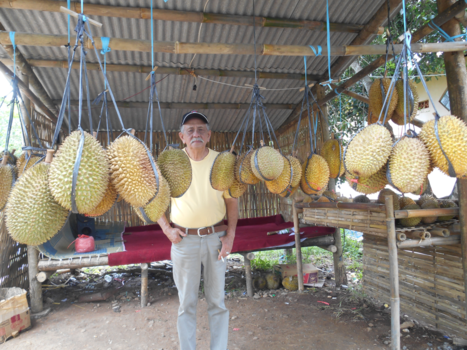 Java - Duren,enak