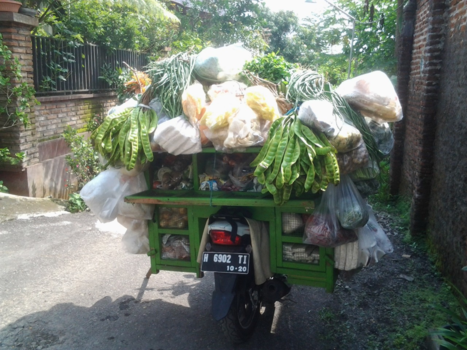 Java - Groenteboer komt langs