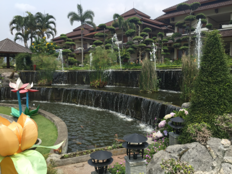 Java - Super mooi  cottages