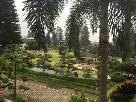 Java - Super hotel/cottages