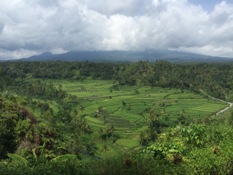 Bali - Super uitzicht vanaf een restaurant in Bali