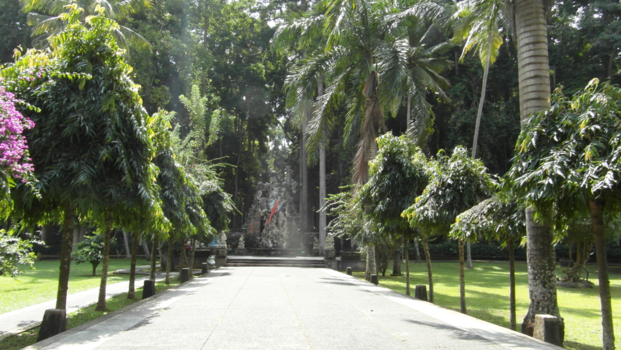 Ubud - monky forrest in stilte ...