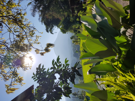 Bali - Juliluwith op Bali