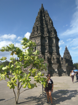 Borobudur - mooi of niet ?