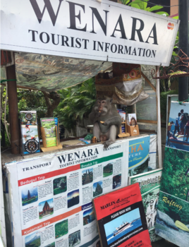 Ubud - Hairy tour guide