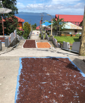 Molukken - Home is where the heart is