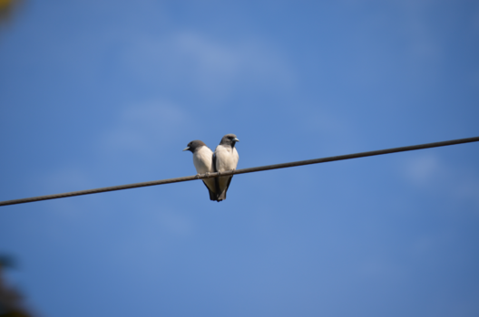 Gili-eilanden - LOVE is what it’s all about! 💙