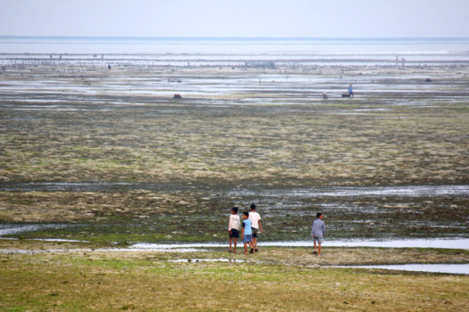 Bali - Looking for mischief