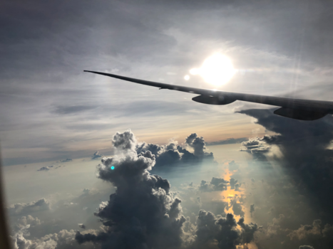 Java - Surrealistisch Java