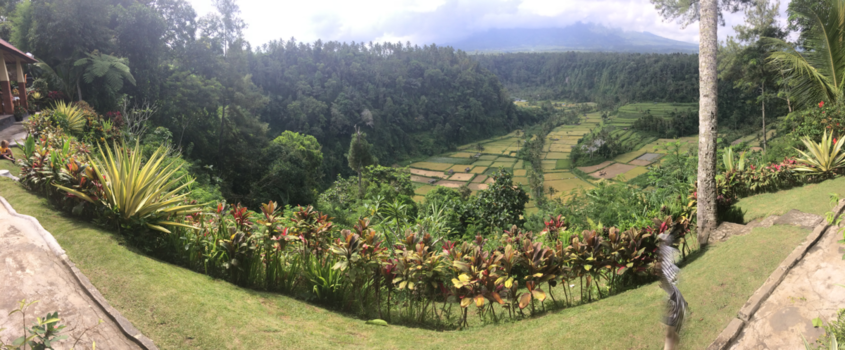 Bali - Panarama