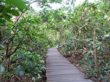 Bali - Choose your own path