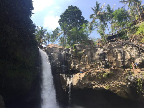 Bali - Waterval bij Ubud