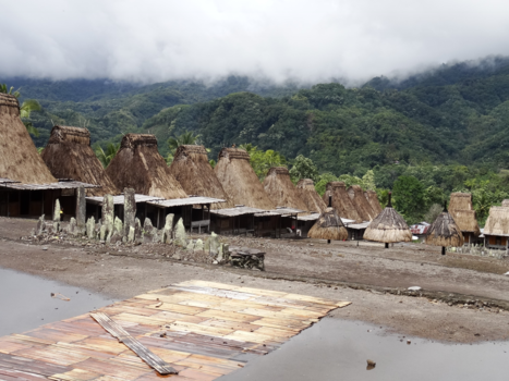 Flores - Ngada dorpje