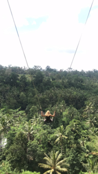 Bali - The Bali Swing